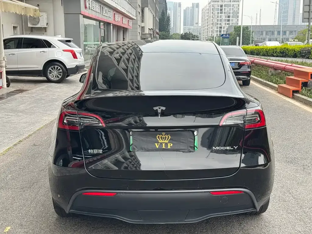 Tesla Model Y — фото 9