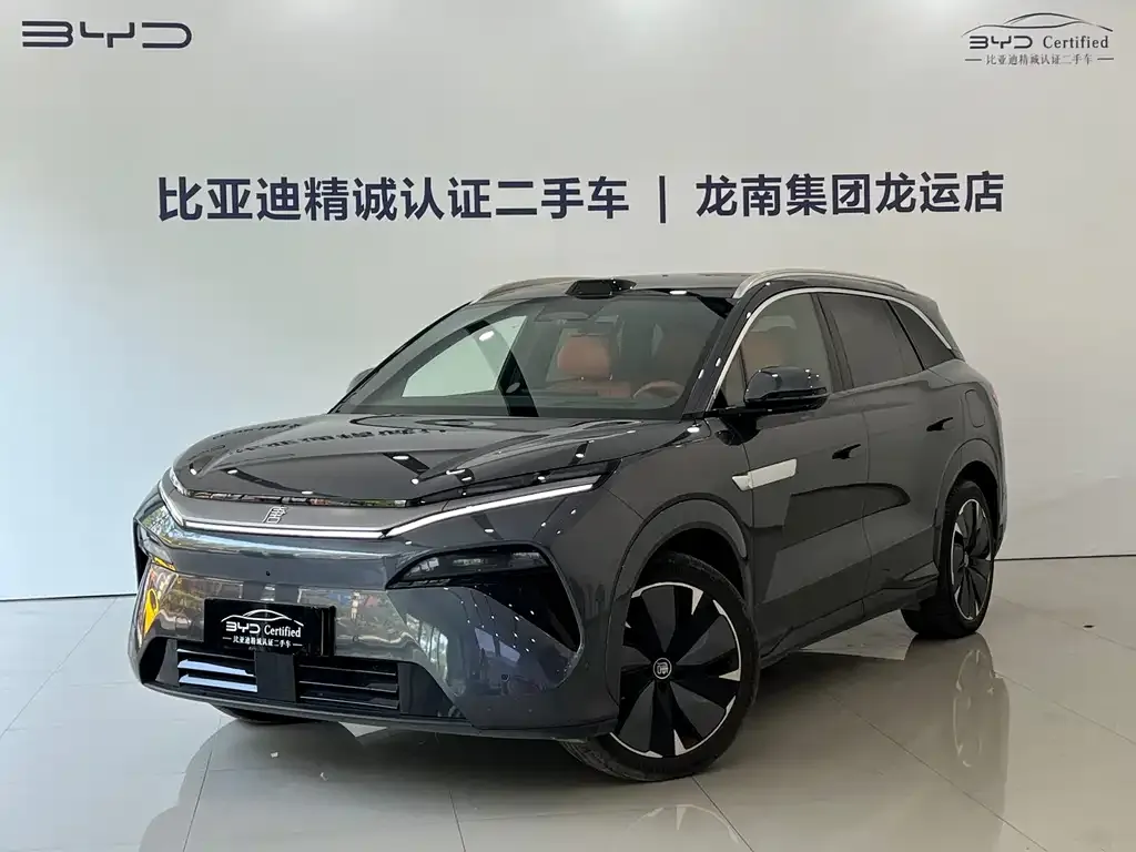 BYD Tang L — фото 1