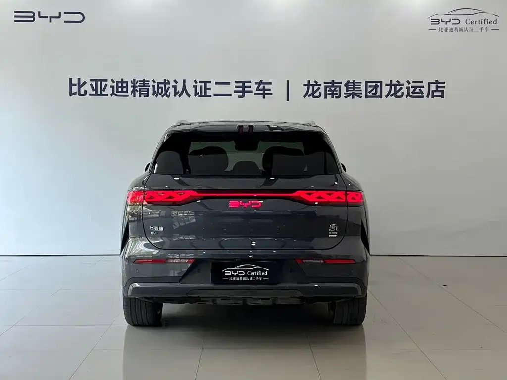 BYD Tang L — фото 2