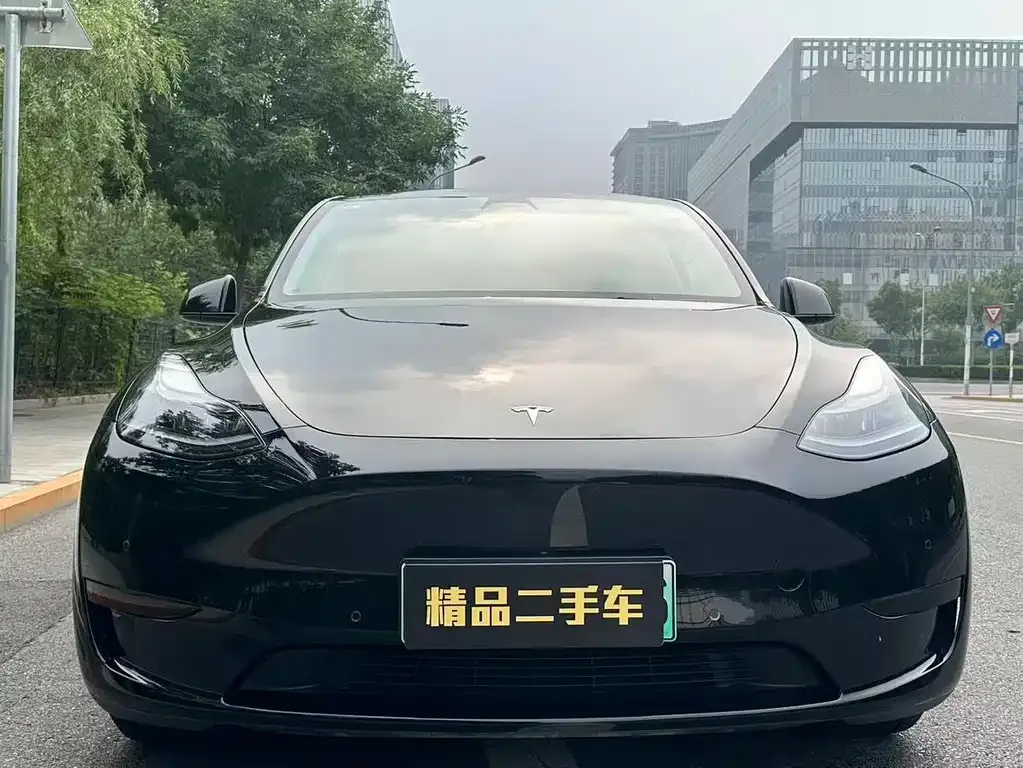 Tesla Model Y — фото 3