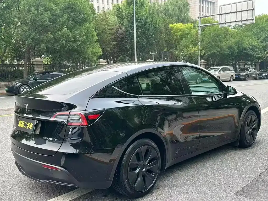 Tesla Model Y — фото 5