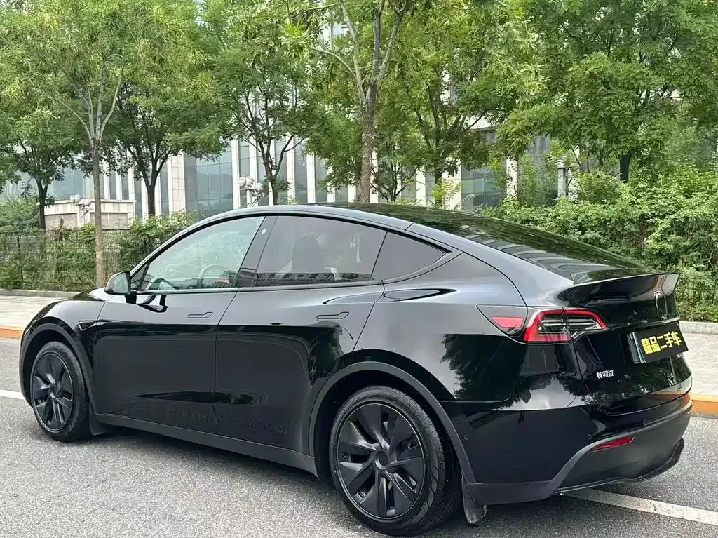 Tesla Model Y — фото 10