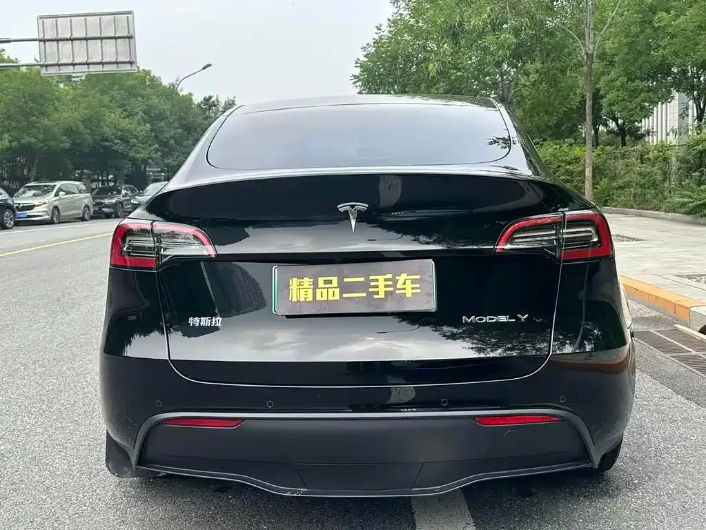 Tesla Model Y — фото 2