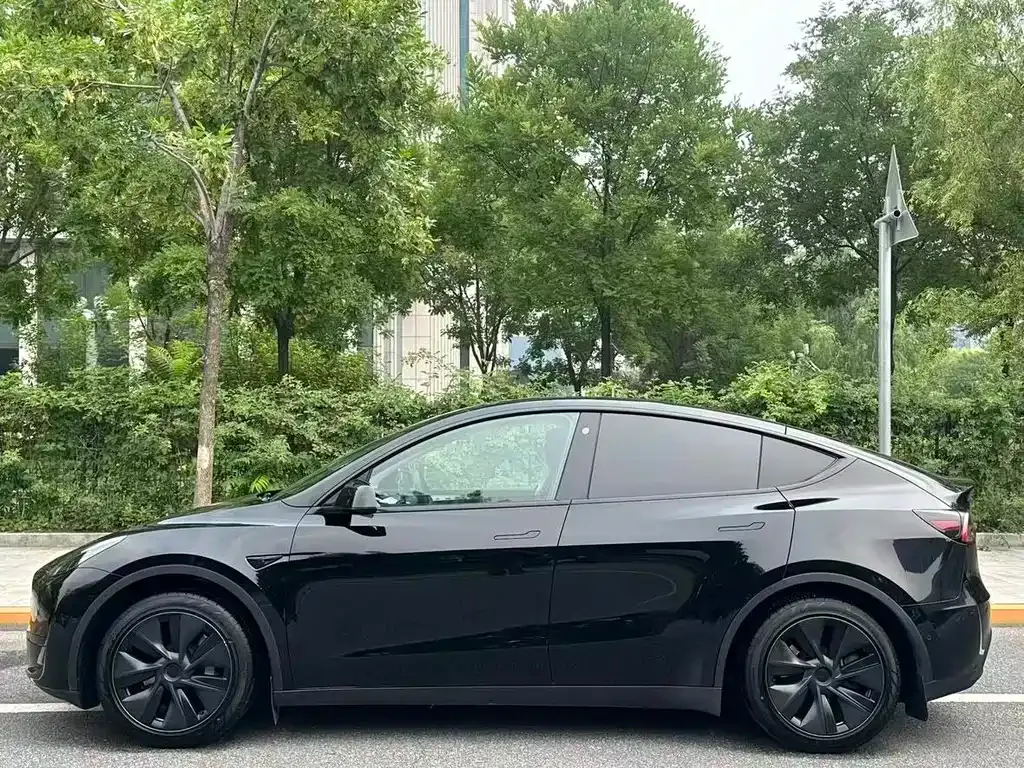 Tesla Model Y — фото 8