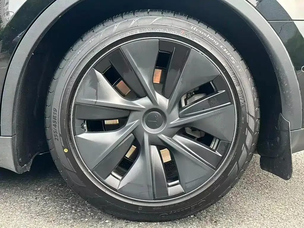 Tesla Model Y — фото 9