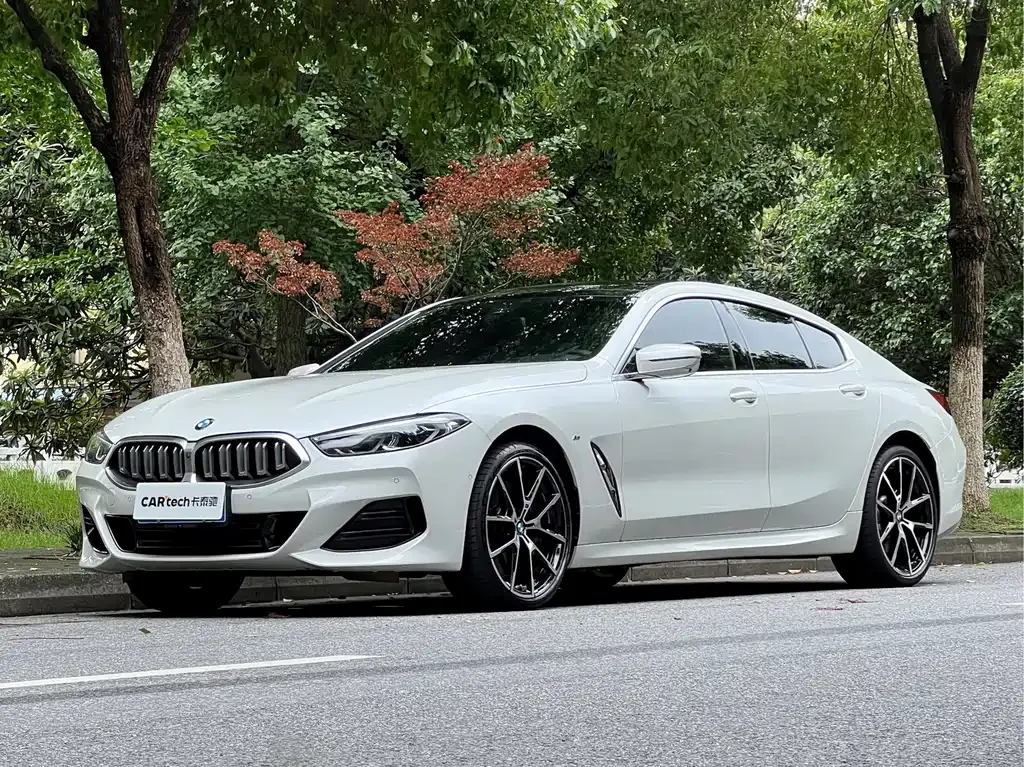 BMW 8 Series — фото 1