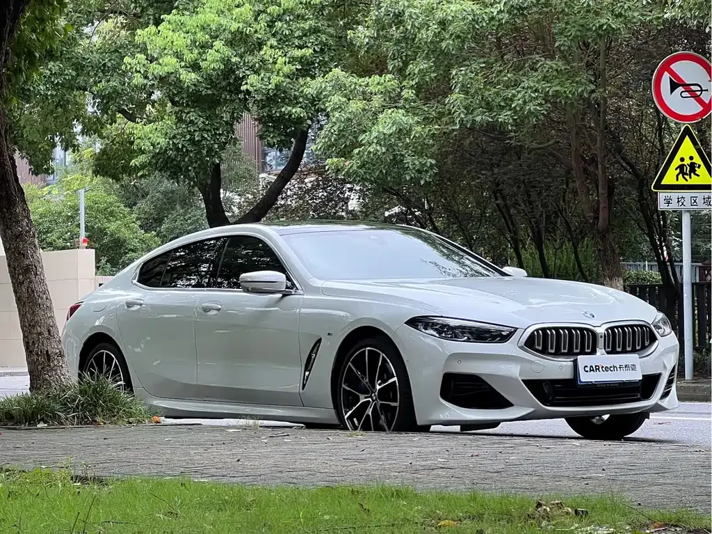 BMW 8 Series — фото 9
