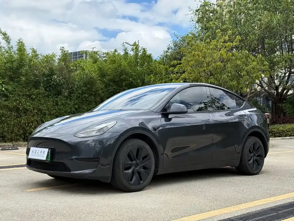 Tesla Model Y — фото 1