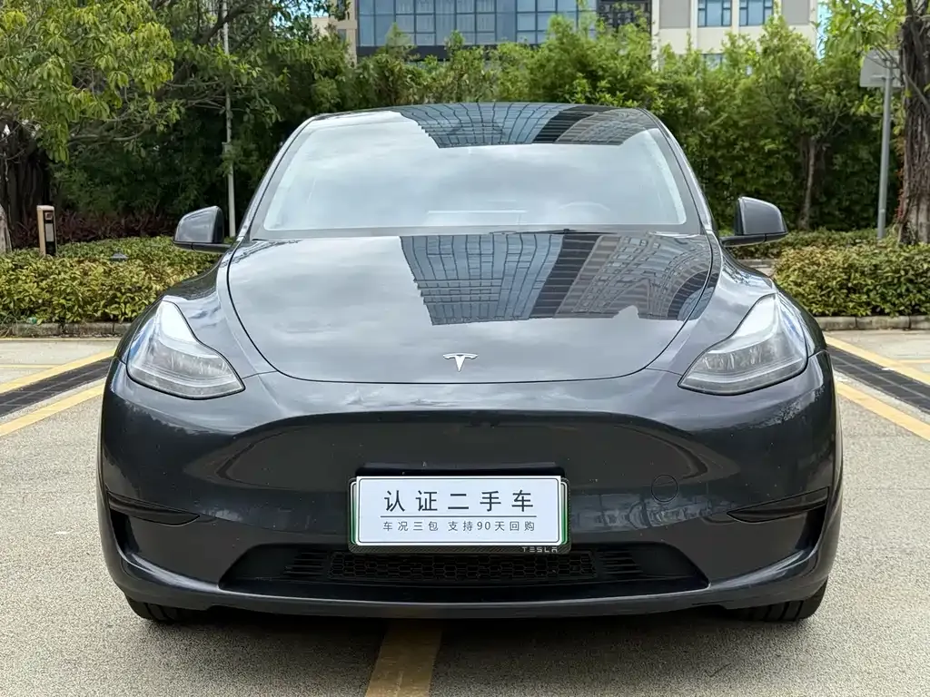 Tesla Model Y — фото 10
