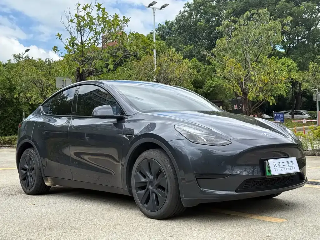 Tesla Model Y — фото 5