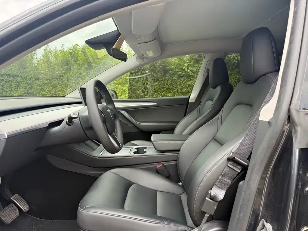 Tesla Model Y — фото 3