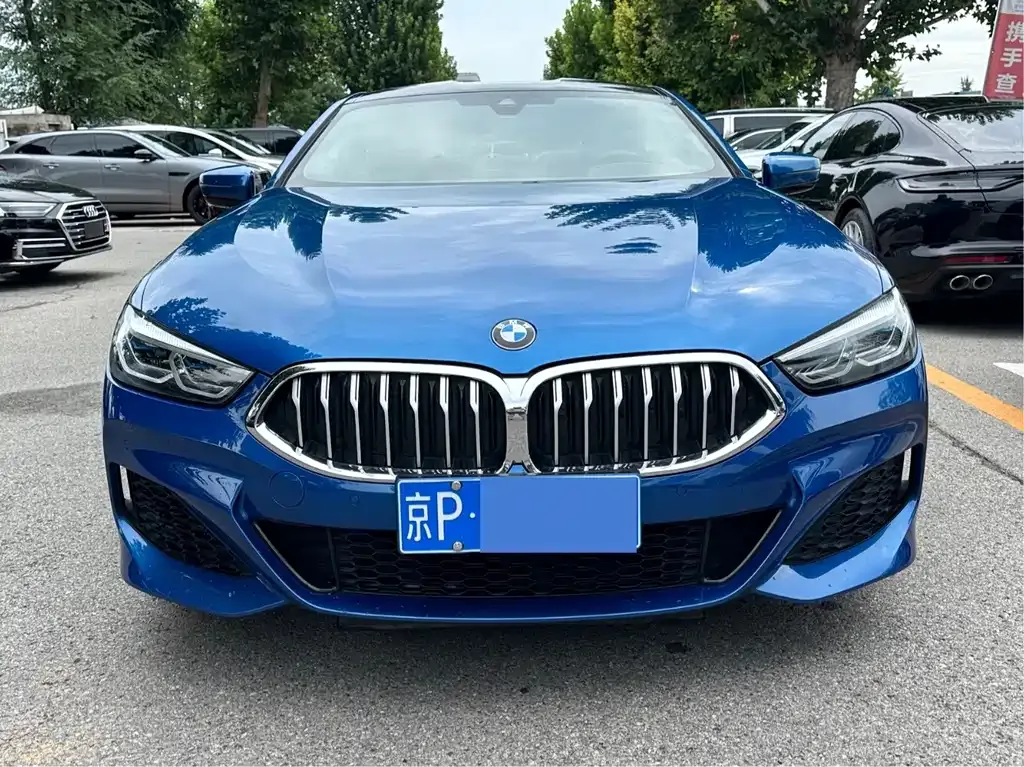 BMW 8 Series — фото 9