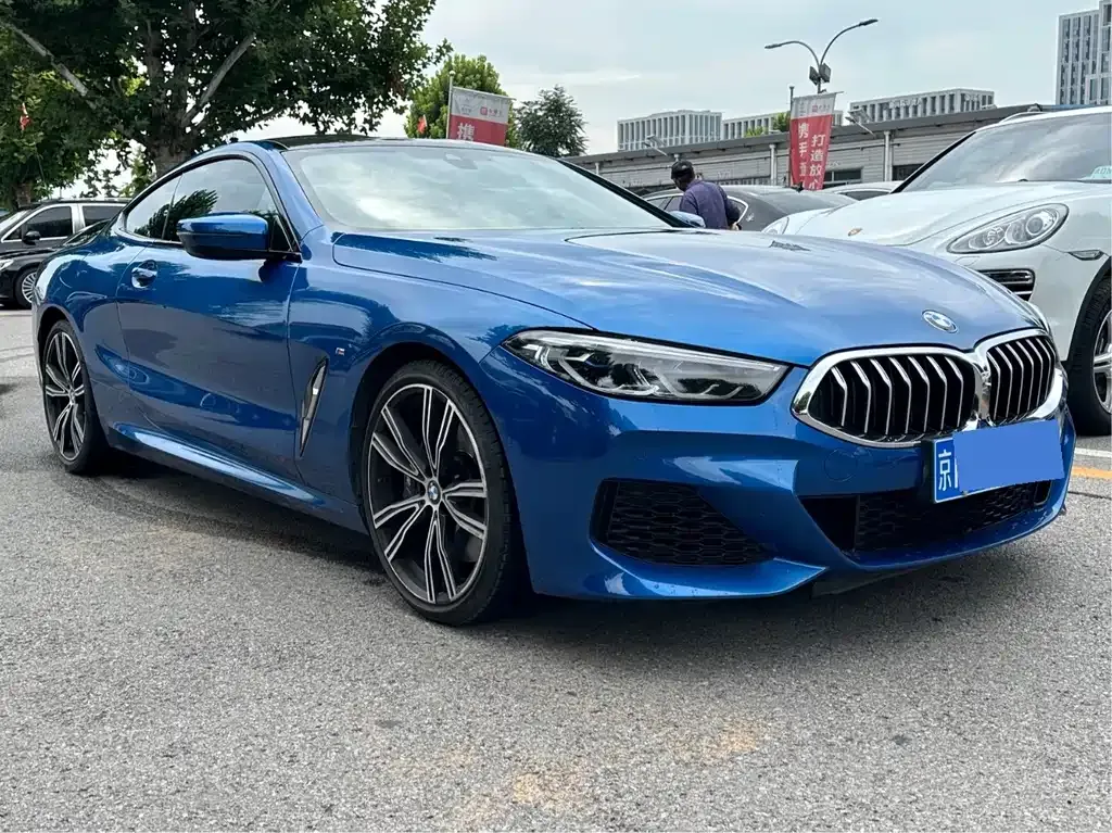 BMW 8 Series — фото 8