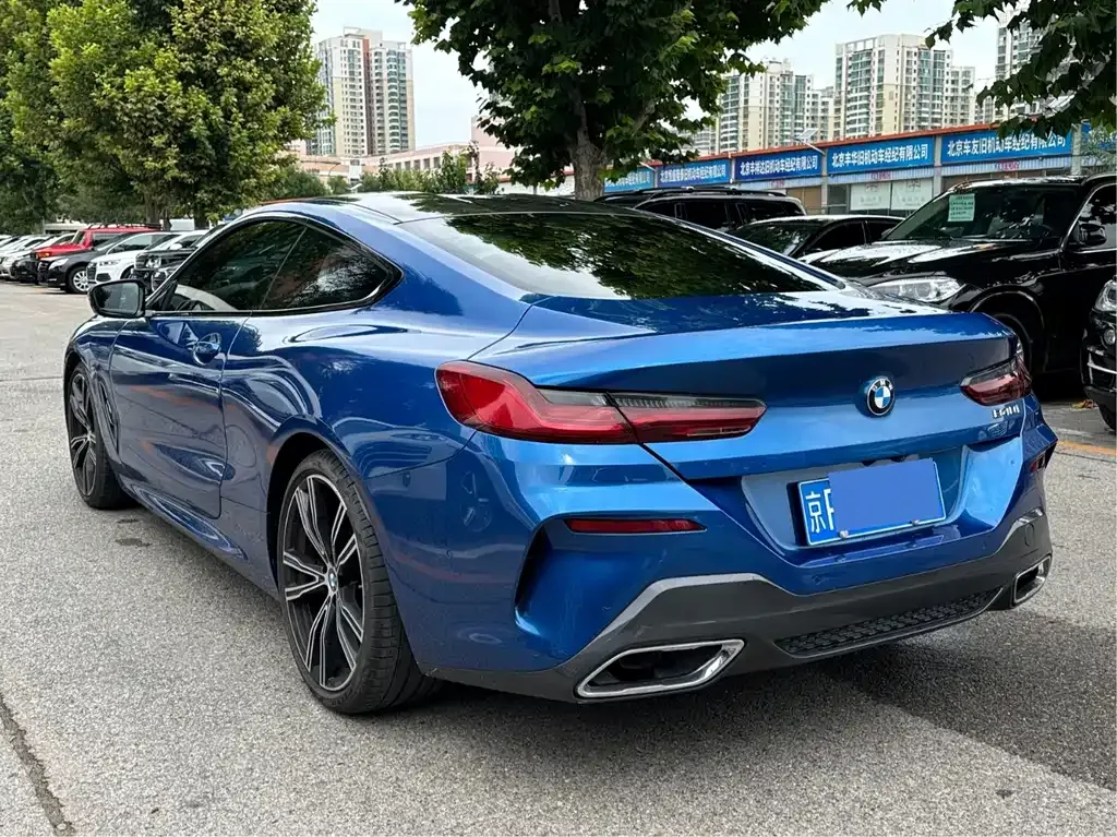 BMW 8 Series — фото 10