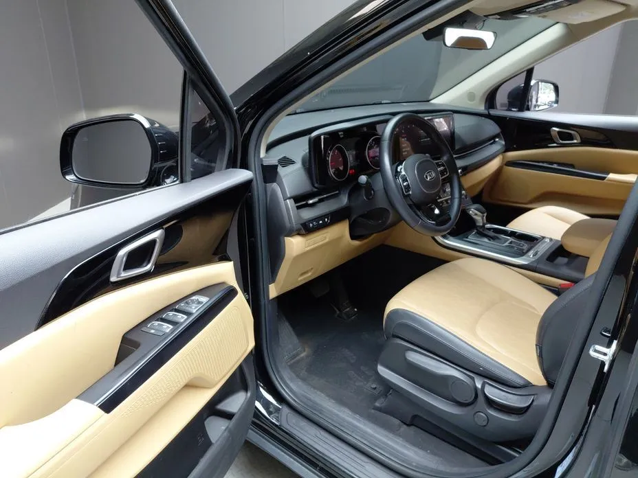 Kia Carnival — фото 10