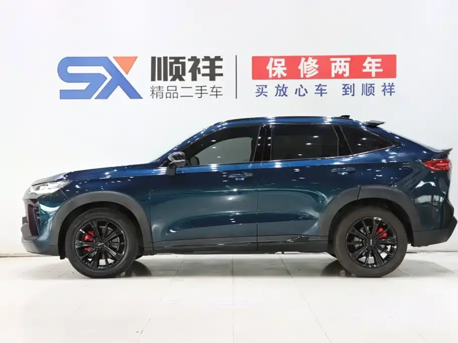 Haval H6S — фото 2