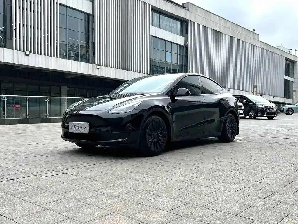 Tesla Model Y — фото 1