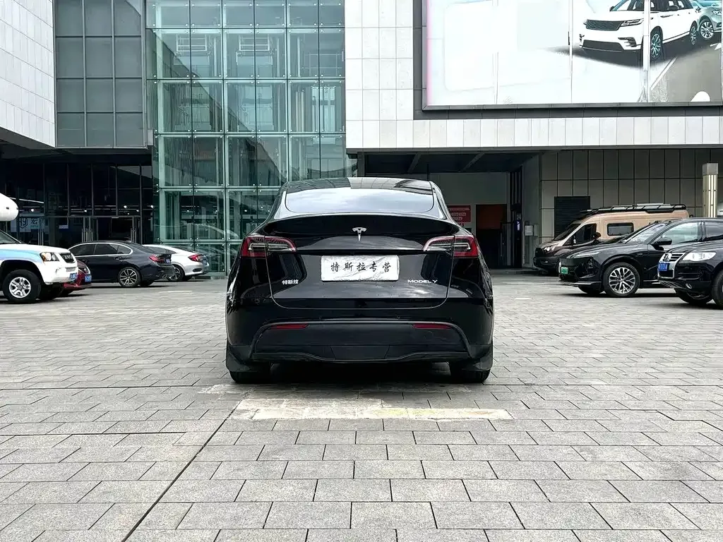 Tesla Model Y — фото 8
