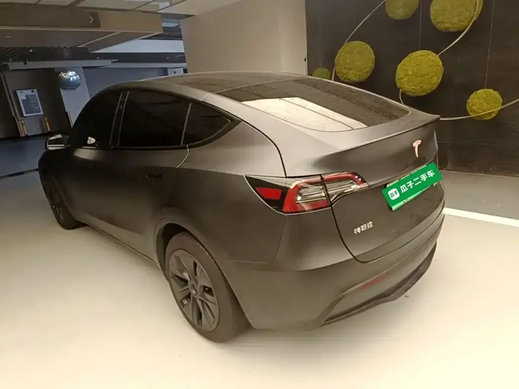 Tesla Model Y — фото 10
