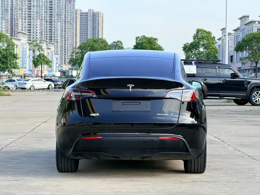 Tesla Model Y — фото 10
