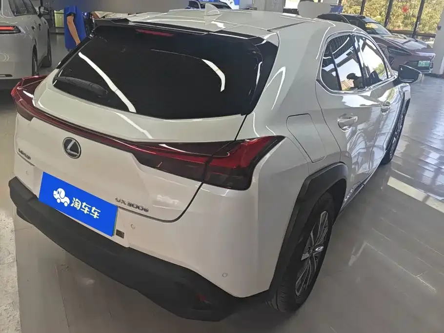 Lexus UX New Energy — фото 7