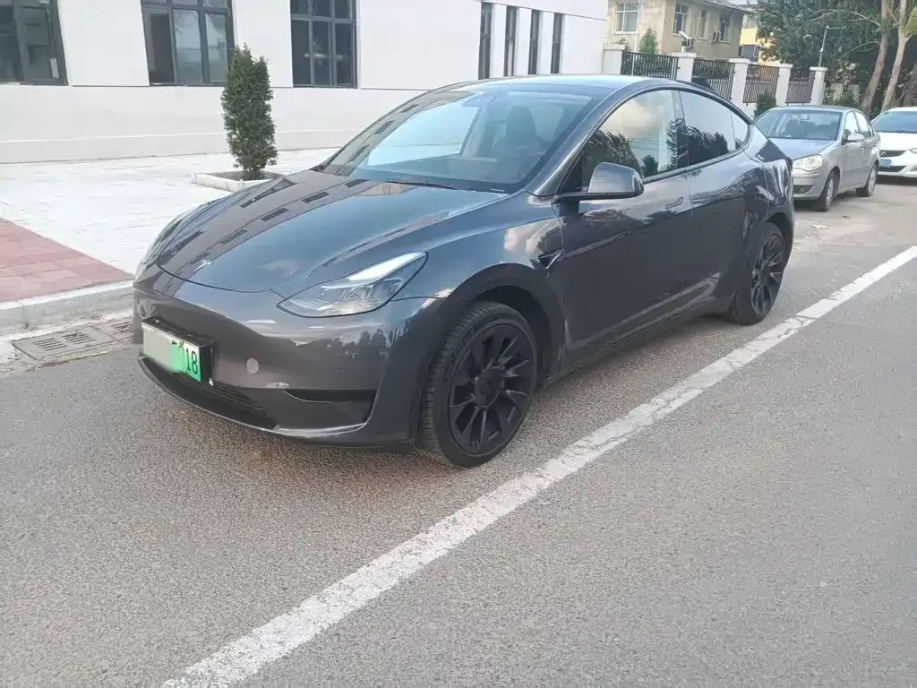 Tesla Model Y — фото 1