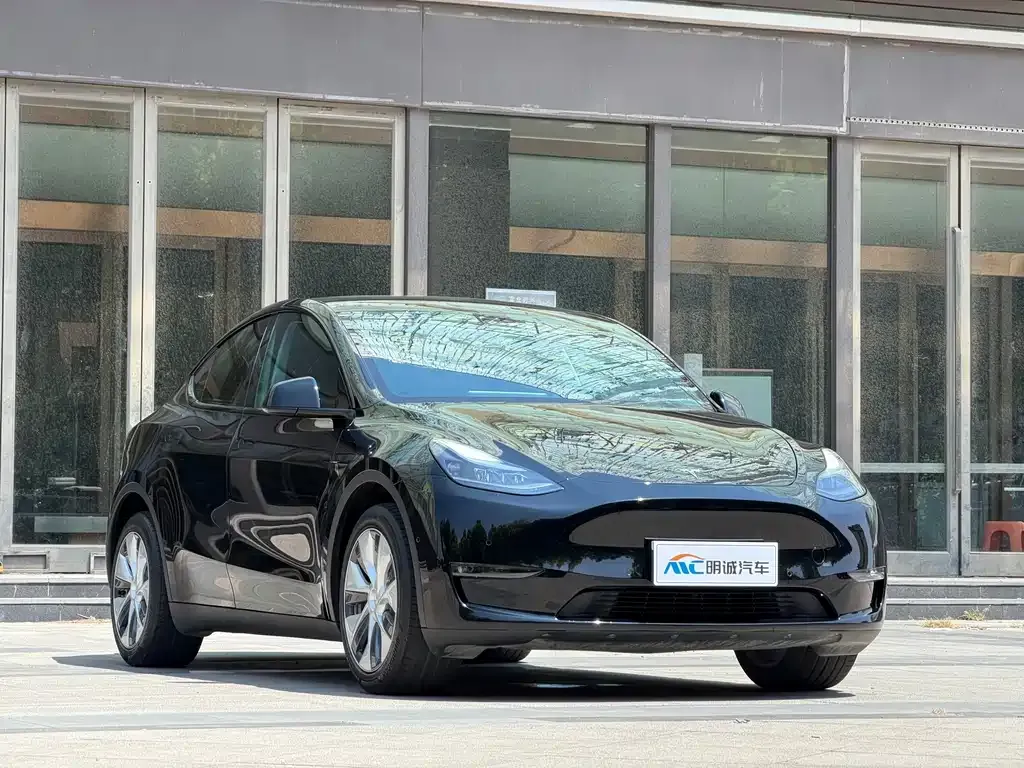 Tesla Model Y — фото 5