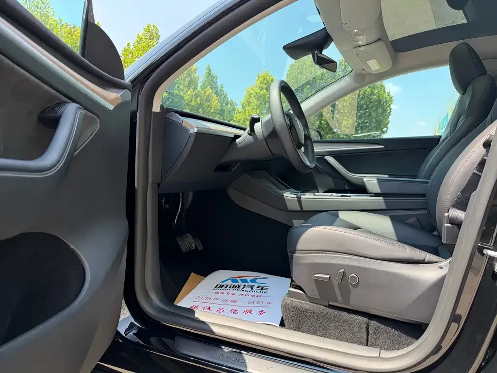 Tesla Model Y — фото 10