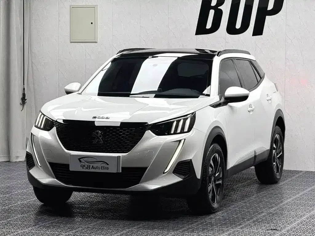 Peugeot 2008 — фото 1