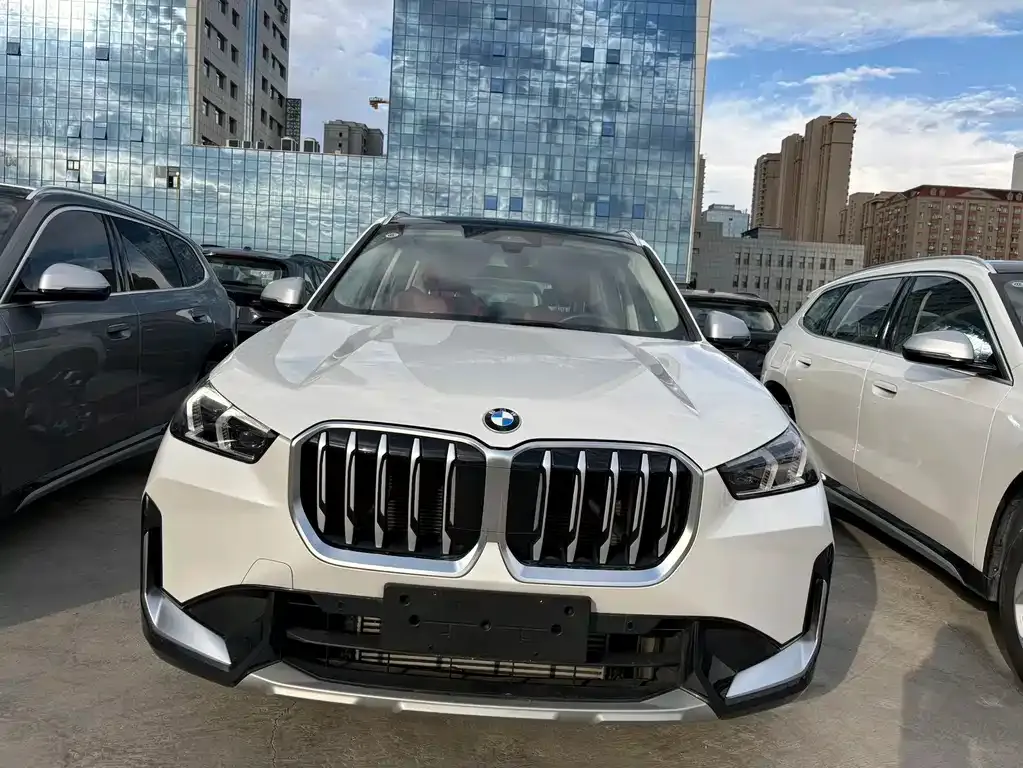 BMW X1 — фото 1