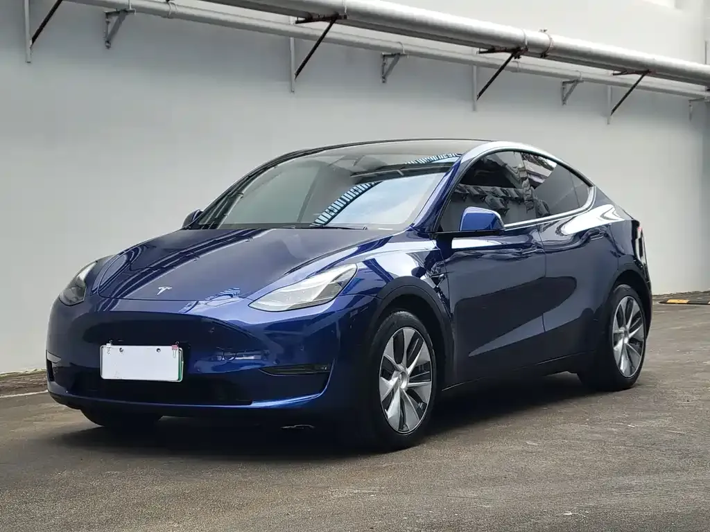 Tesla Model Y — фото 1