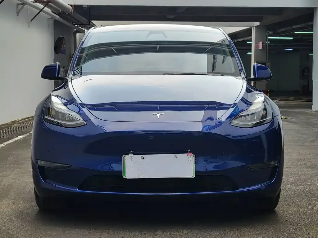 Tesla Model Y — фото 8
