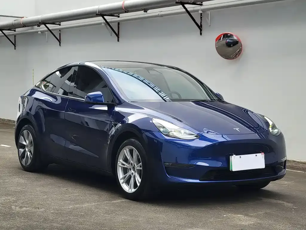 Tesla Model Y — фото 9