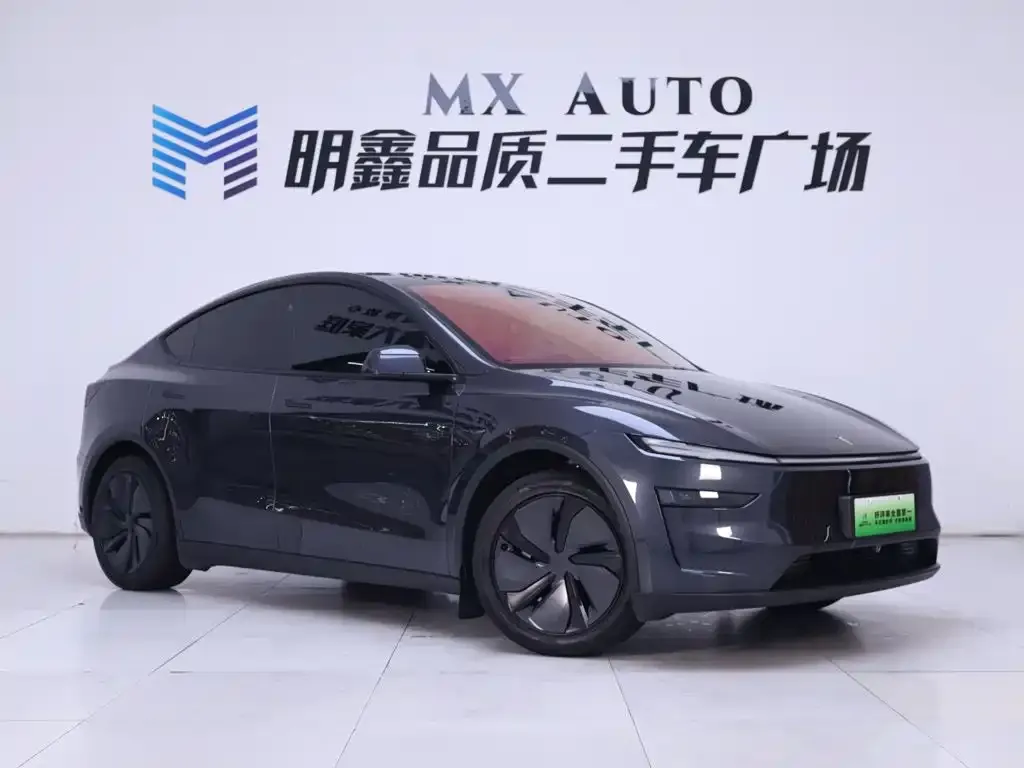 Tesla Model Y — фото 10