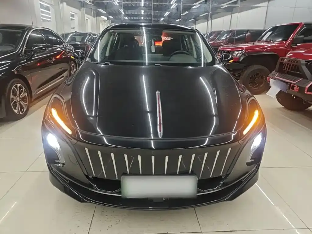 Hongqi E-QM5 — фото 8