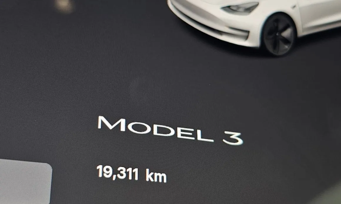 Tesla Model 3 — фото 6