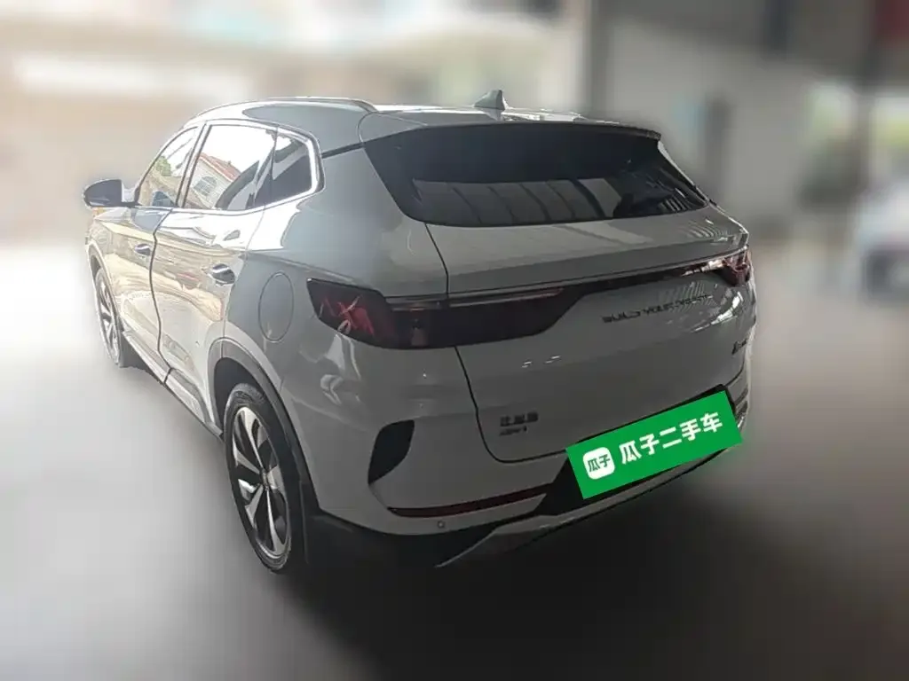 BYD PLUS New Energy — фото 4