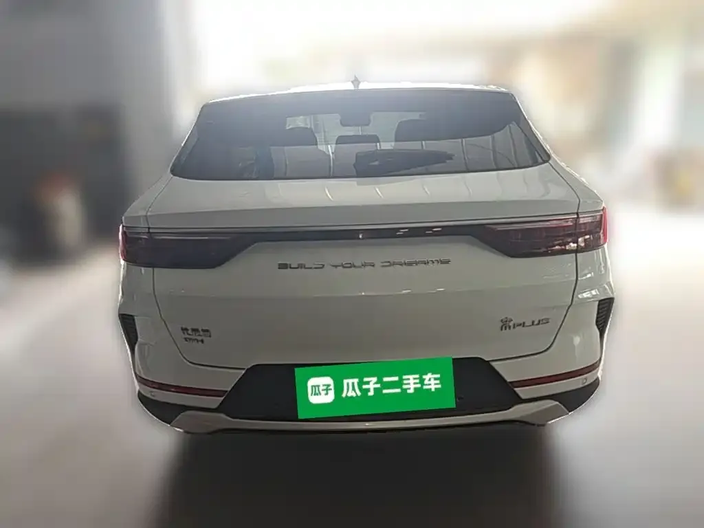 BYD PLUS New Energy — фото 8