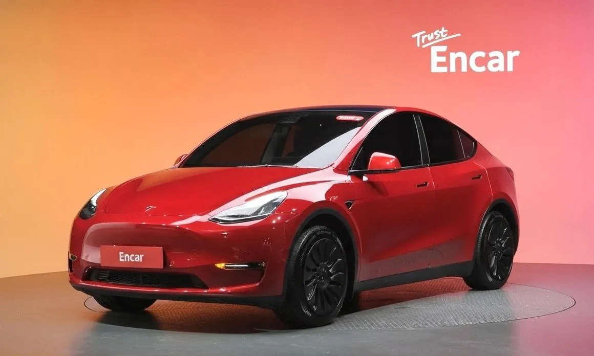 Tesla Model Y — фото 1