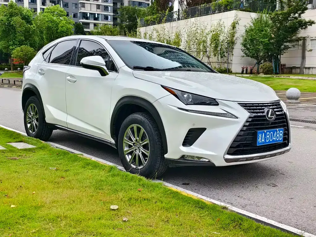 Lexus NX — фото 10