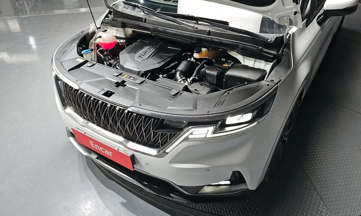 Kia Carnival — фото 10