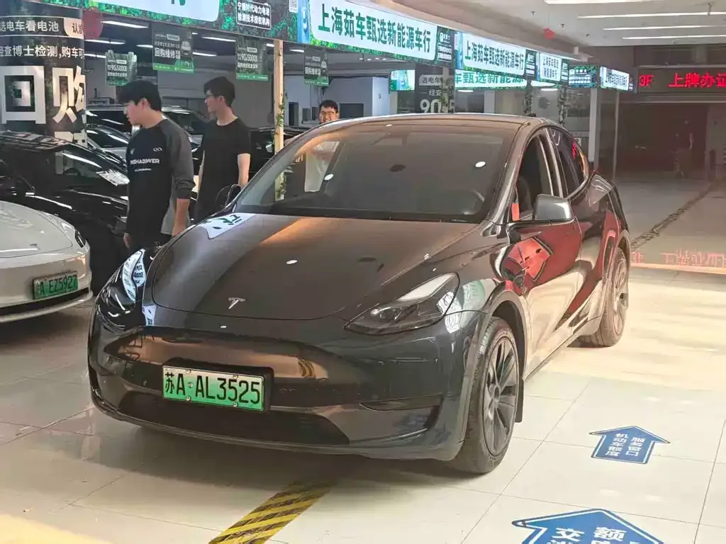 Tesla Model Y — фото 1