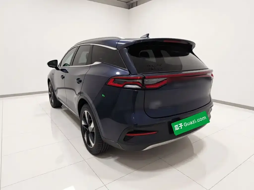 BYD Tang New Energy — фото 10