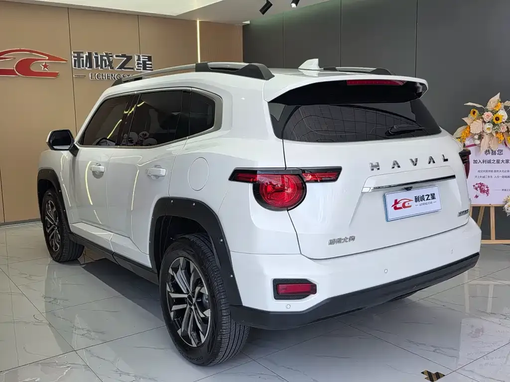 Haval H7 (Big Dog Plus) — фото 6