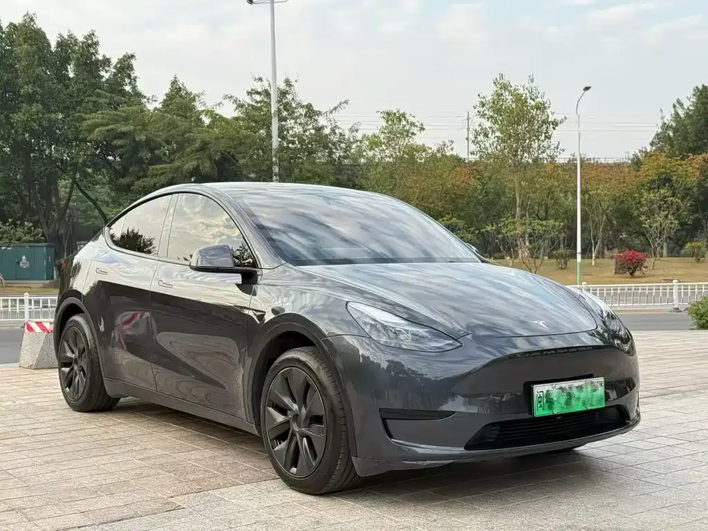 Tesla Model Y — фото 9