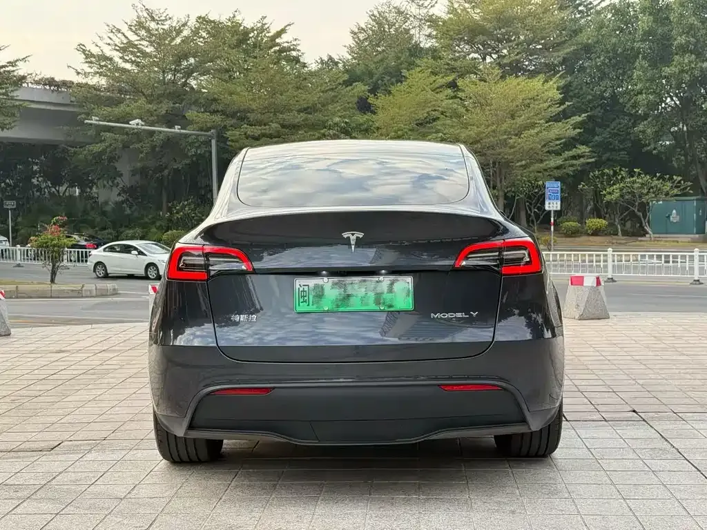 Tesla Model Y — фото 8
