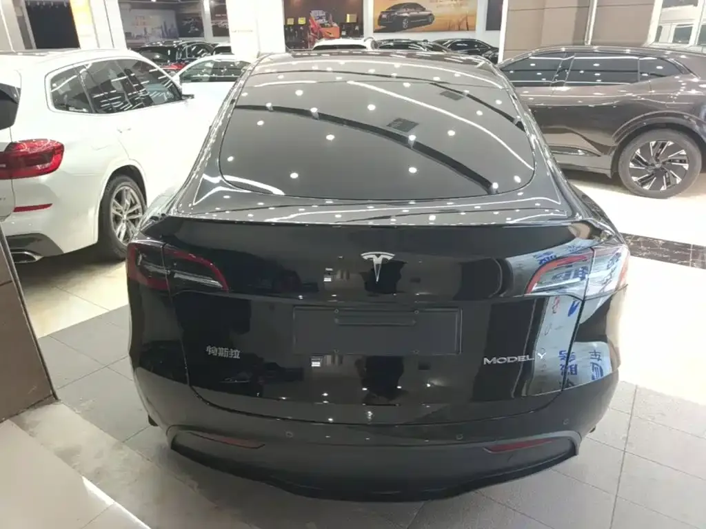 Tesla Model Y — фото 7