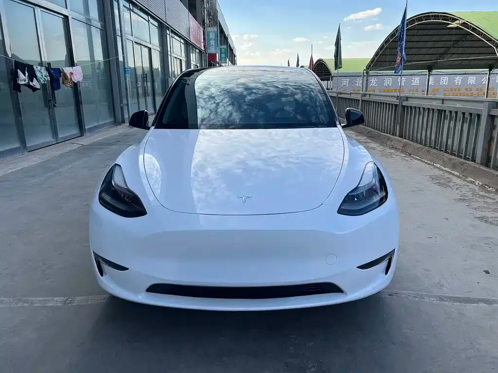 Tesla Model Y — фото 3