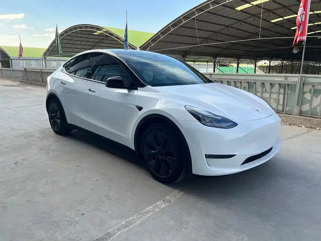 Tesla Model Y — фото 9