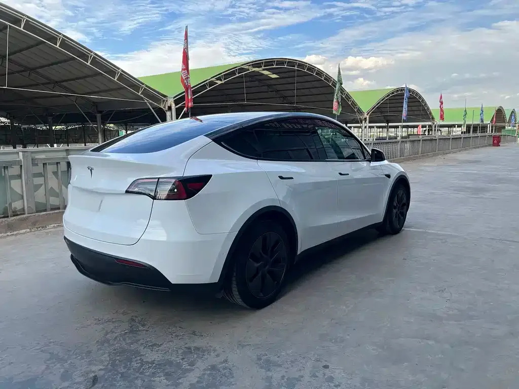 Tesla Model Y — фото 4